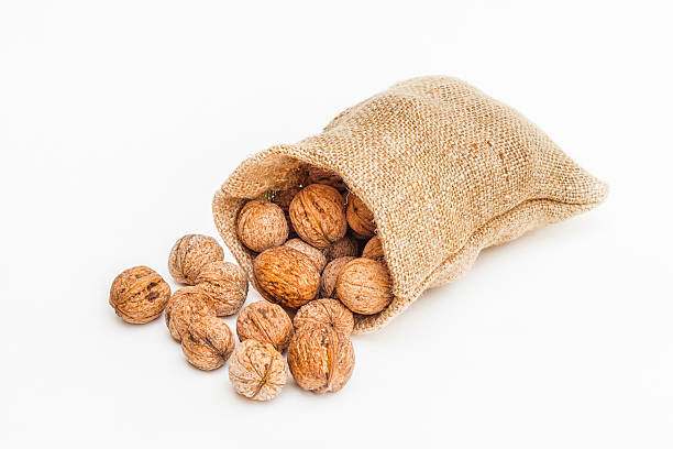 Front view of a large group of wallnuts spilled on the ground with a canvas sack filled with wallnuts behind them. Isolated on white