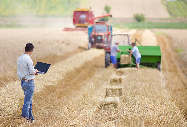 istock Businessman on wheat harvest 474298550
