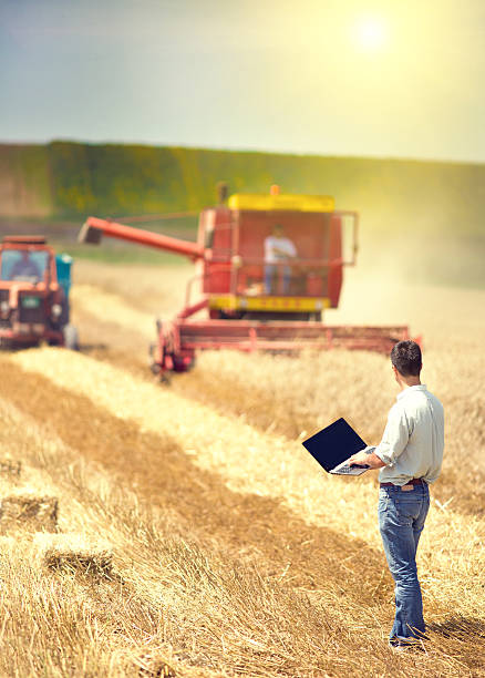 istock Businessman on wheat harvest 474298568