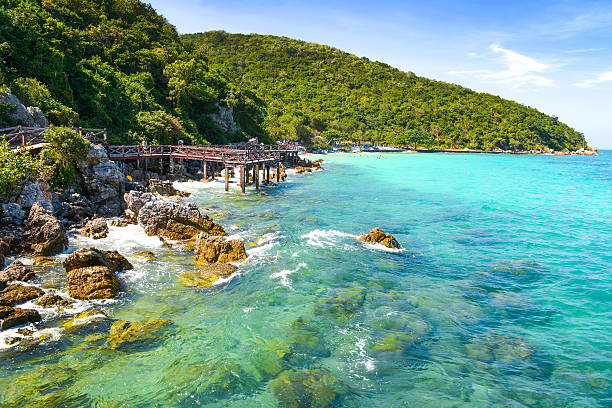 Jetty to a tropical beach on Lan island Pattaya