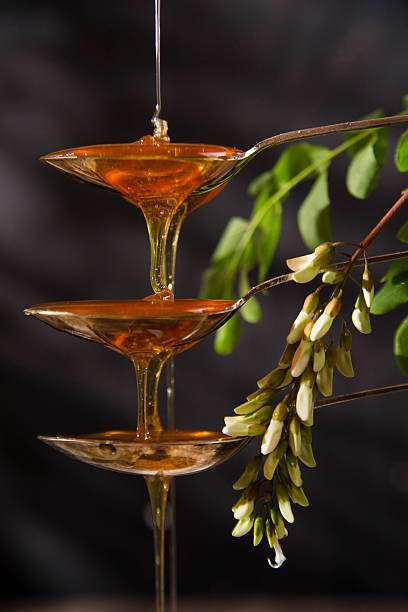 Acacia honey