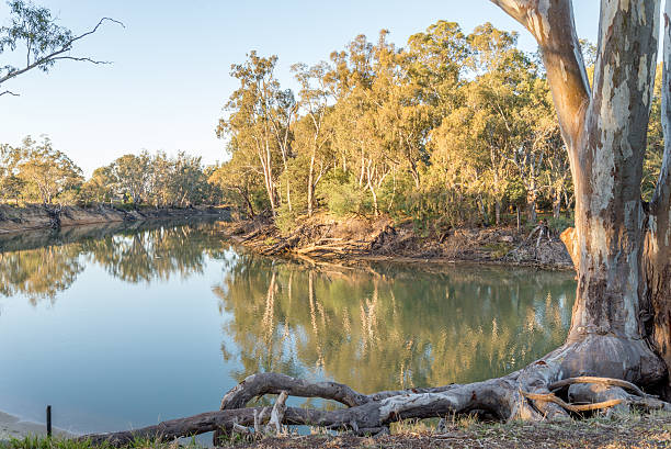 istock On the Murray River early morning 474299402