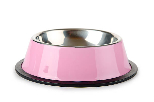 istock Pet bowl isolated on the white background 474299941