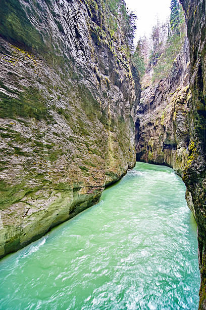Fast-moving mountain stream rushing through narrow rocky gorge with moss and vegetation. Clear white water carving natural rock formations. Scenic nature landscape with flowing river and cliffs.