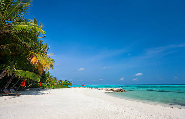 istock Beautiful tropical beach at Maldives 474302318