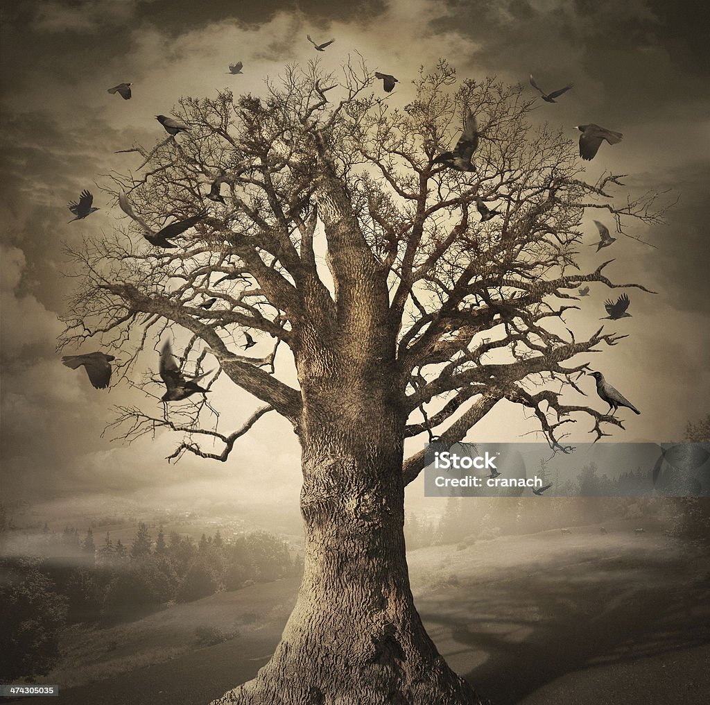 Magic Tree with Crows Dark magic tree with crows. Digital concept art. Crow - Bird Stock Photo