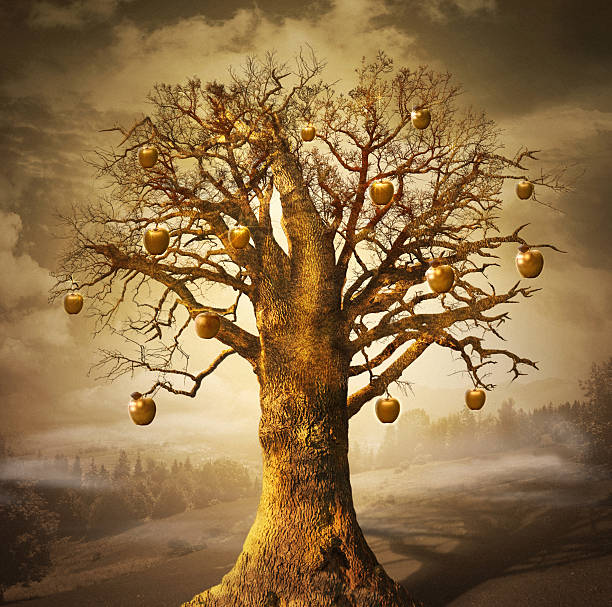 árvore mágica com maçãs de ouro. - apple fruit surreal bizarre imagens e fotografias de stock