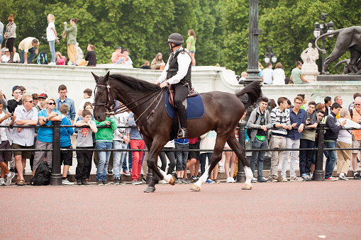 London, England - July 21, 2013: Mounted Policeman patrolling crowds waiting for a parade of Household Cavalry in the Mall, London, England