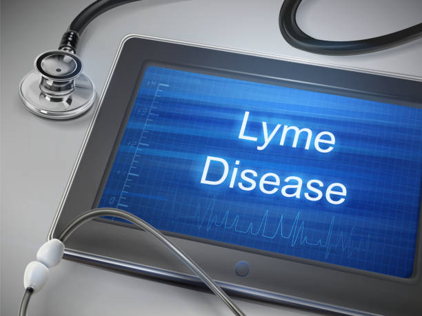 Lyme Disease Diagnostics Market Outlook: Strategic Growth and Industry Insights Lyme Disease Diagnostics Market Outlook: Strategic Growth and Industry Insights