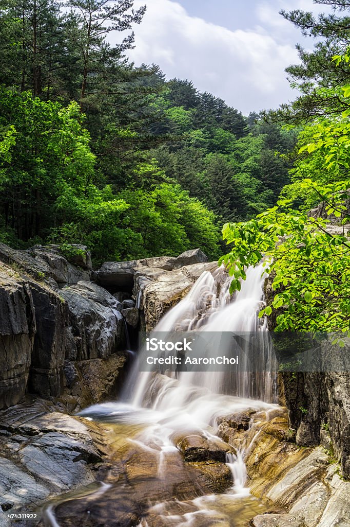 Waterfall and creek in Odaesan Odaesan National Park creek and waterfall scene. This is the famous Sogeum River (Salt River) near the Gangneung area. Taken during summer. 2015 Stock Photo