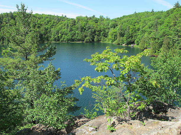 istock Pink Lake, Gatineau Park 474324400