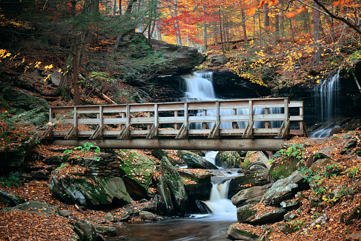 Autumn waterfalls in park with colorful foliage.