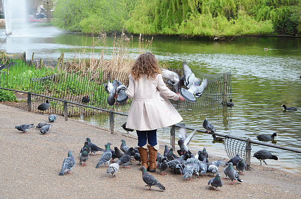 istock Girl with pigeons 474327491