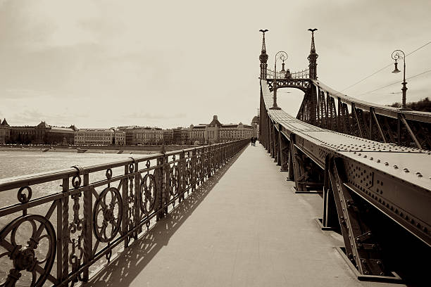 Liberty or Freedom Bridge Budapest Liberty or Freedom Bridge in Budapest (Szabadság híd) across the river Danube.  arma-globalphotos stock pictures, royalty-free photos & images