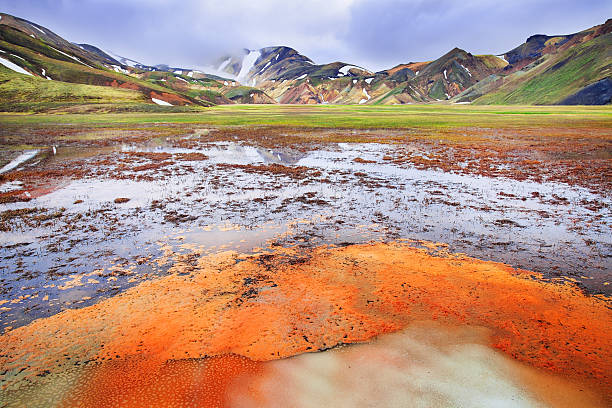 landmannalaugar, rhyolite город призрака горы исландии - single flower desert spring red стоковые фото и изображения