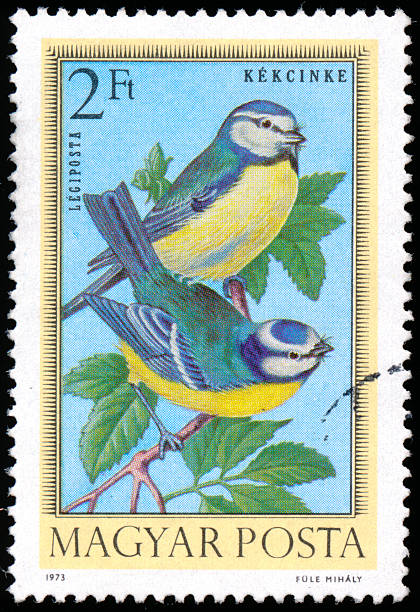 istock Postage stamp printed in Hungary showing Birds 474340481