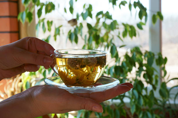 istock hands holding a cup of flower tea 474341474