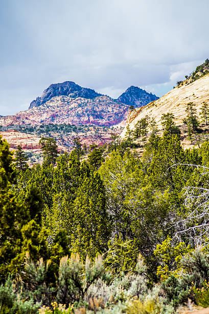 istock Zion Canyon National Park Utah 474344492