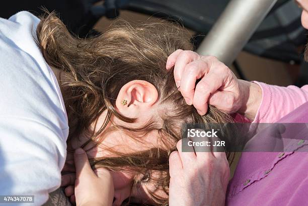 Mother Looking For Head Lice At Her Daughter Stock Photo - Download Image Now - 2015, Adult, Child