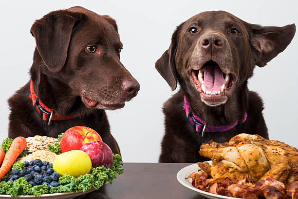 Food diet for pets