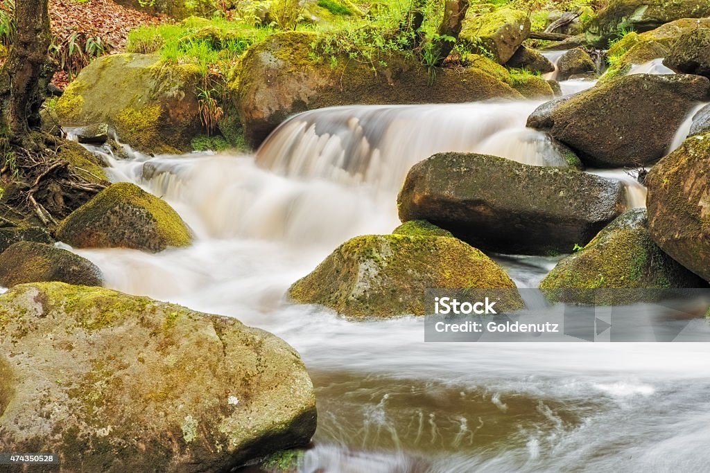 Australia Running River Rocks Stock Image Of A Running River Through Moss Covered Rocks Stock Photo ...