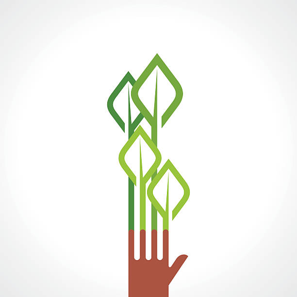 ręka i tree - development tree human hand bonsai tree stock illustrations