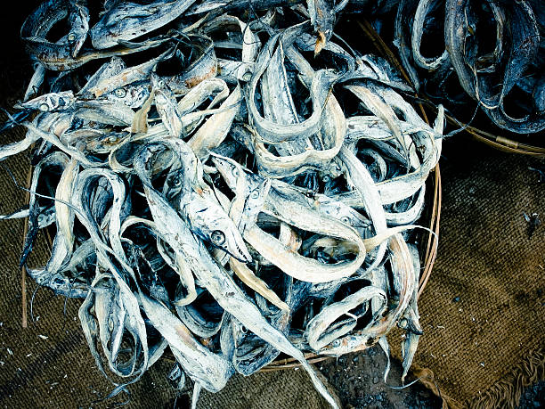 Fishes are stocked in Baskets after drying Process for exporting, Mirya, Ratnagiri, Maharashtra, India