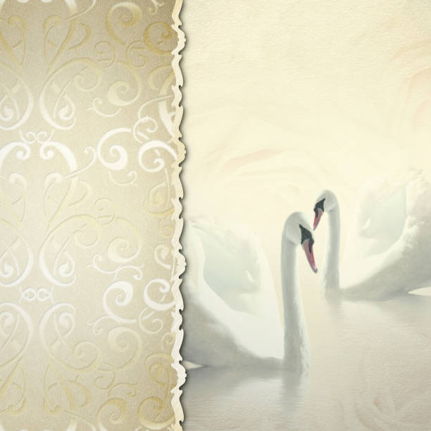istock Wedding Card with white swans 474357479