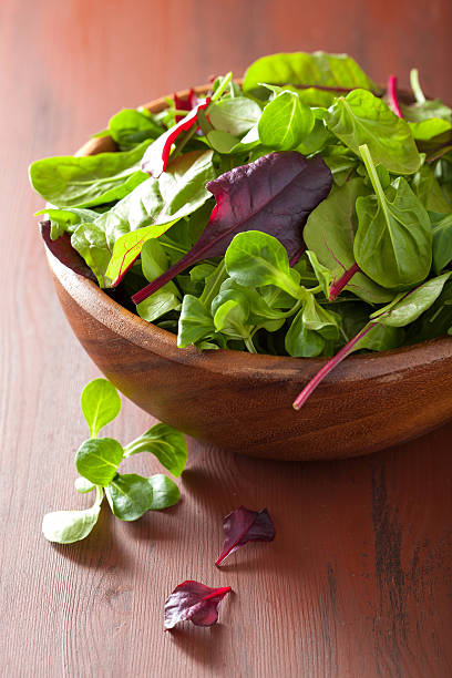 fresh salad leaves in bowl: spinach, mangold, ruccola
