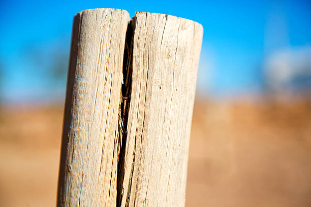 istock dead wood in the sky morocco   winter 474361048