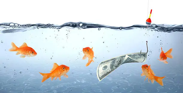 Photo of goldfish in danger - money