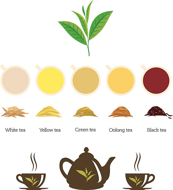 rodzaje herbaty - vector cup tea cup white background stock illustrations