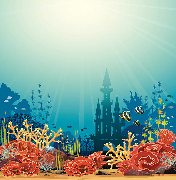 sylwetka zamku i coral reef. - animal animal themes sea below stock illustrations