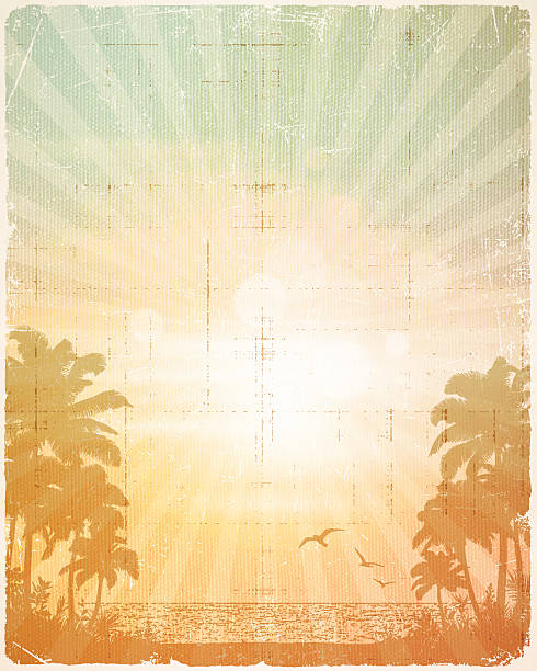 ретро плакат фон тропический пляж летом - beach retro revival old fashioned palm tree stock illustrations