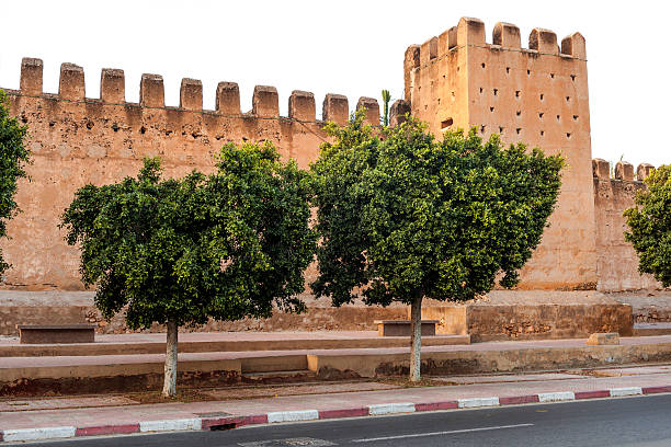moroccot.town murs taroudant, morroco - taroudannt photos et images de collection