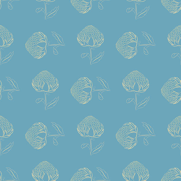 Floral seamless pattern, golden outline of waratah flowers on blue Vector seamless pattern of waratah flower. Golden outline on blue. Unique and elegant background for website, digital scrapbooking, wallpapers, textile, upholstery and wrapping paper. telopea stock illustrations