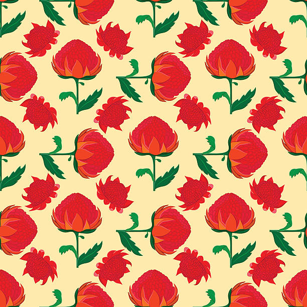 Flower seamless pattern Waratah, Telopea Vector seamless pattern of vibrant red waratah flower.  Unique and elegant background for website, digital scrapbooking, wallpapers, upholstery, textile, and wrapping paper. telopea stock illustrations