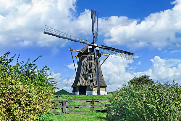 istock Acient drainage windmill with thatched roofing, The Netherlands 474376928