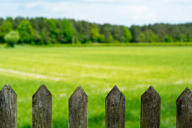 木製のフェンス - old plank outdoors selective focus ストックフォトと画像