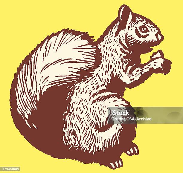 Squirrel Stock Illustration - Download Image Now - 2015, Animal, Animal Wildlife