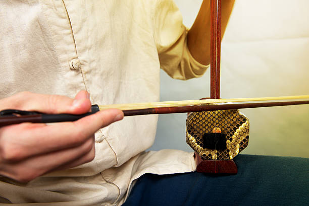 músico tocando em erhu. - erhu - fotografias e filmes do acervo