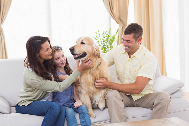 istock Family stroking dog while sitting on sofa 474395068