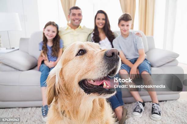 Dog Sitting With Family At Home Stock Photo - Download Image Now - Family At Home, Dog, Pets