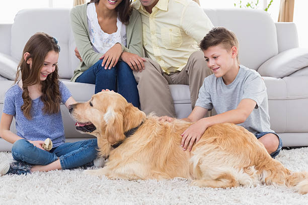 istock Siblings stroking dog while parents sitting on sofa 474395312