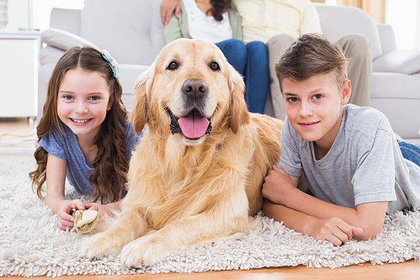 istock Siblings lying with dog while parents relaxing on sofa 474395316