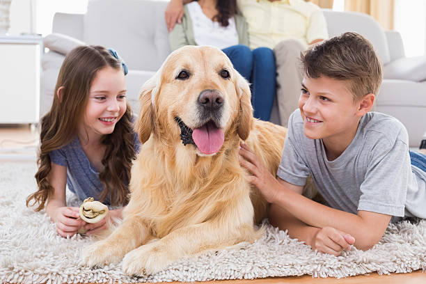 istock Siblings lying with dog while parents sitting on sofa 474395322