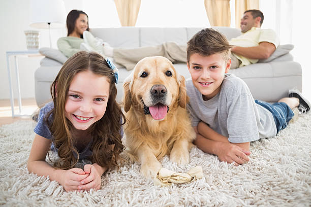 istock Siblings lying with dog while parents relaxing on sofa 474395340