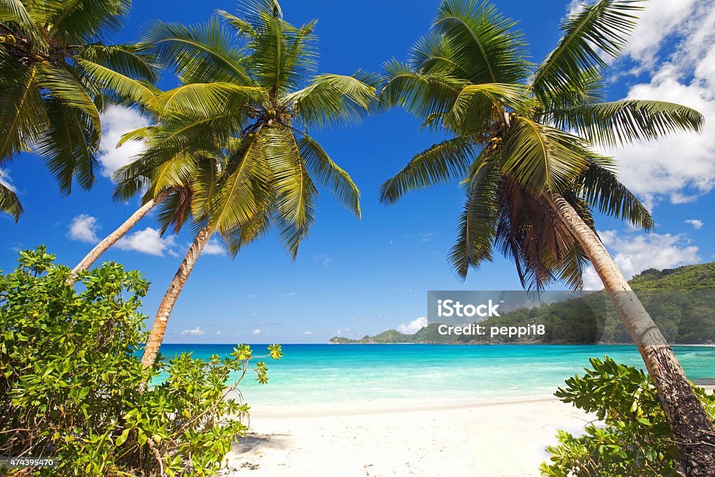 Takamaka Cove beach Takamaka, Mahe island, Seychelles Mahe Island Stock Photo