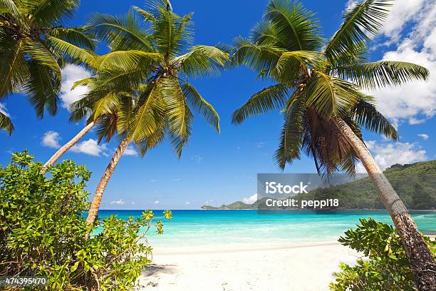 Takamaka Cove Stock Photo - Download Image Now - Mahe Island, Takamaka, Beach