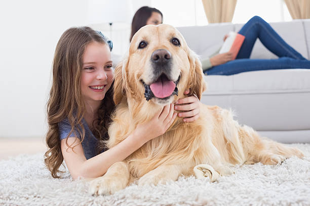 istock Girl embracing Golden Retriever while lying on rug 474395498